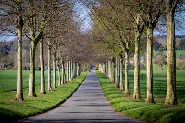 Understanding Vanishing Points in Photography