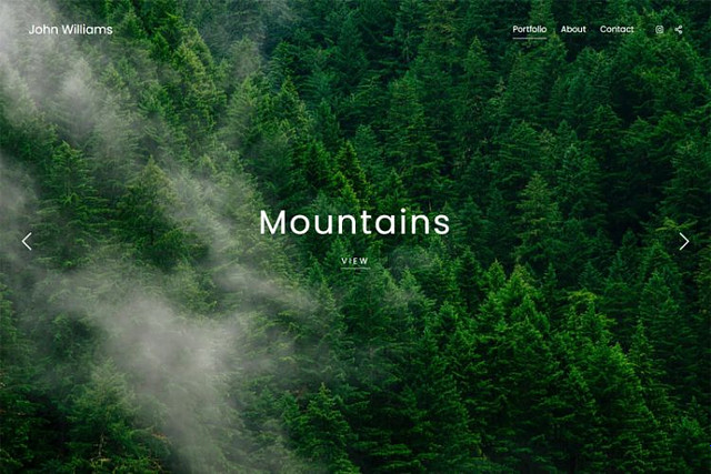 Лес - Pixpa Шаблоны сайтов портфолио