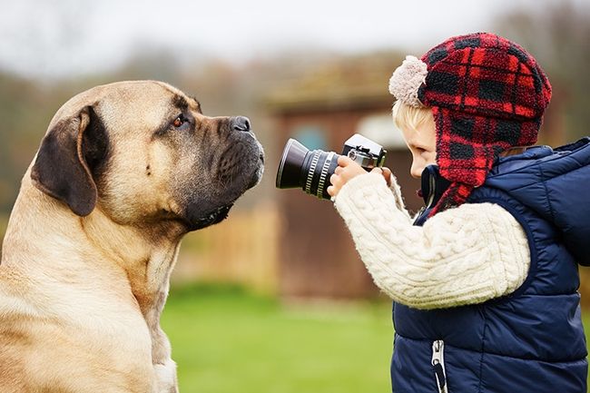 Tierfotografie