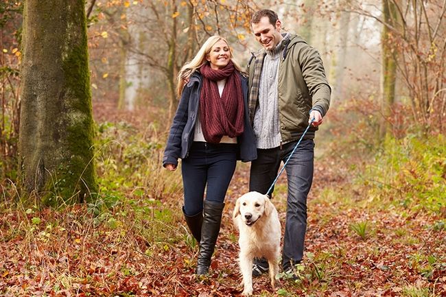 Gelukkig paar dat met hond loopt